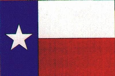 Tischflagge_TF_3035_Texas.jpg